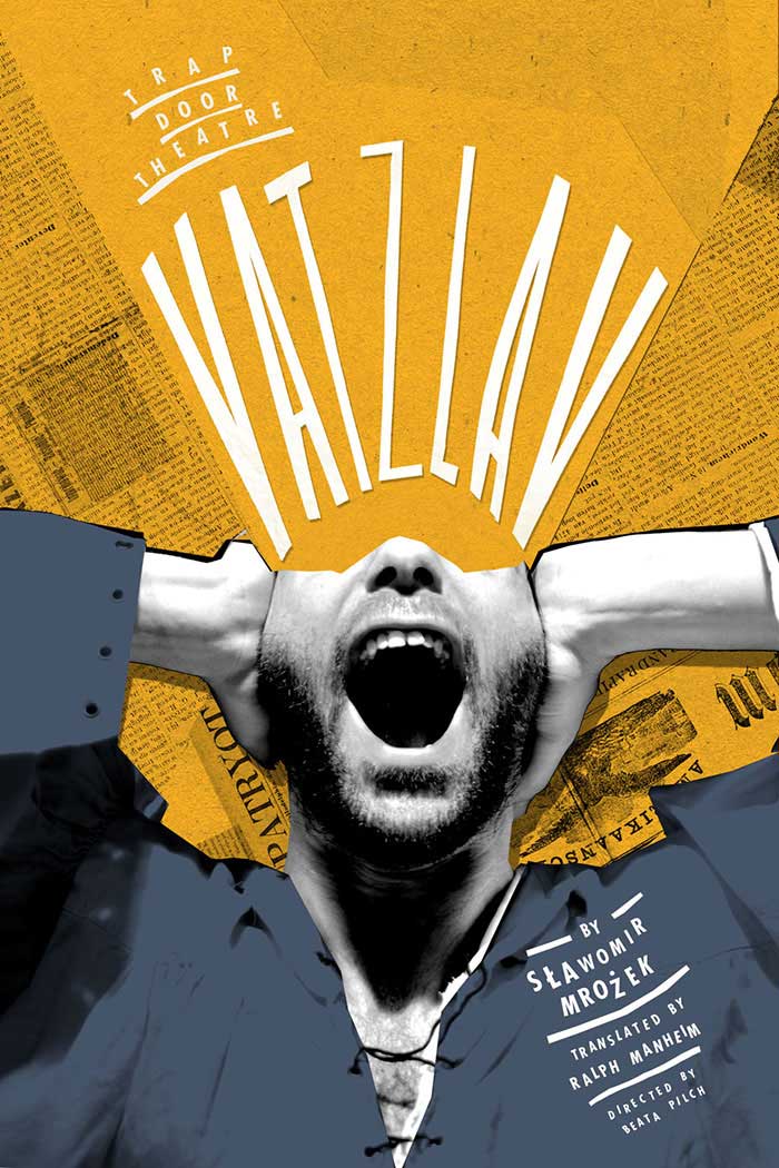 Sławomir Mrożek Poster